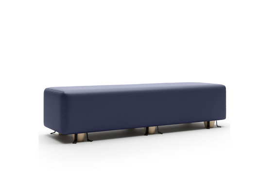Black Label Prelude Bench