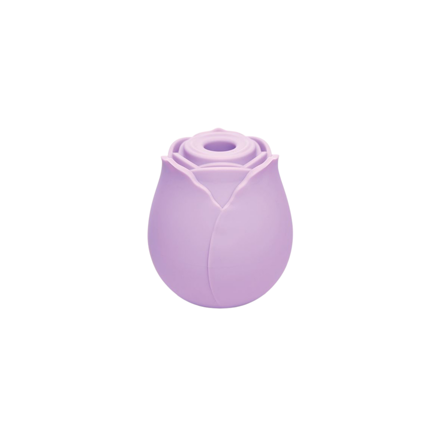 Wild Rose